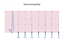 Determining Rate