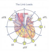 Hexaxial reference system, Limb leads diagram, Free Illustration  