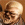 COVID2019Hulge's picture