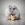 WalterKef's picture
