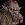 Olegkhaums's picture