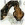 vregaukoli's picture