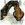 revolnum's picture