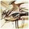 fudnanews's picture
