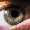 ScottVot's picture