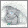 saraiclub's picture
