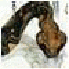 hardanana's picture