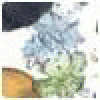 hdarveban's picture
