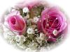 maunula21's picture