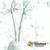 tutmitell's picture