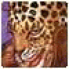 Duanecot's picture