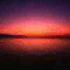 DuaneBlabe's picture