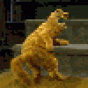 spokjotoh's picture
