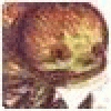 garoljaw's picture